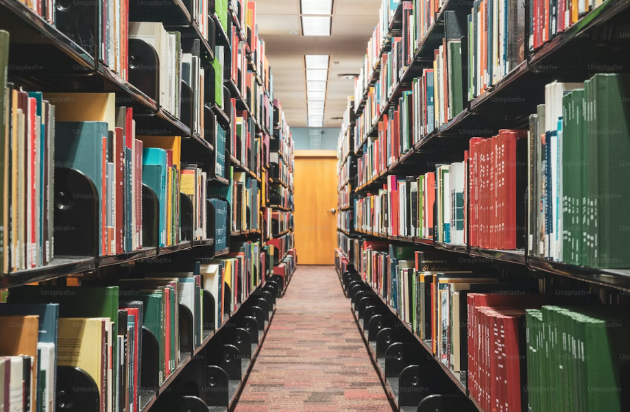 Migliori Libri SEO: La Guida Ai Manuali Indispensabili Per Imparare Il Posizionamento Sui Motori Di Ricerca E Diventare Specialist